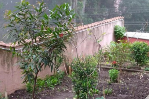 apartamento-55-m-vila-galvao-bueno-sao-bernardo-do-campo-sp-azor-imoveis-13