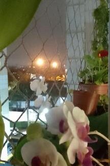 apartamento-48-m-jardim-borborema-sao-bernardo-do-campo-sp-azor-imoveis-12