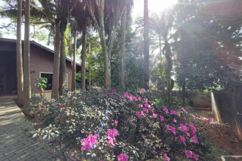 casa-1758-m-eldorado-diadema-sp-azor-imoveis-34