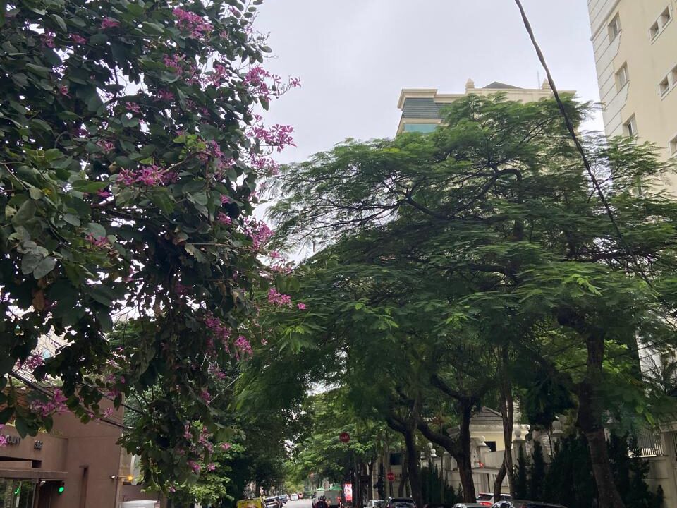 apartamento-122-m-jardim-santo-andre-sp-azor-imoveis-11